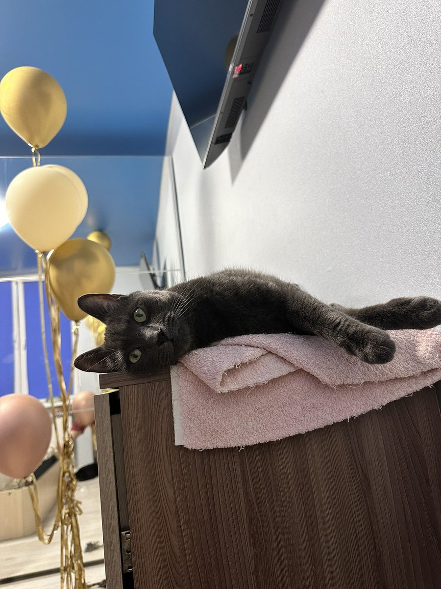 Следит за моим балансом работа и жизни