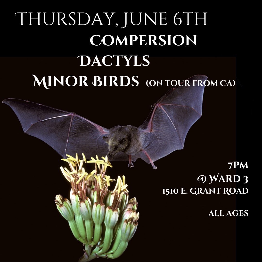 CecylRuehlen's tweet photo. This Thursday /Friday : Compersion performs with our friends Minor Birds &amp; Dactyls—thur in Tucson at Ward 3 and Fri in Sierra vista AZ at tell mama https://t.co/yMQgmmeY2u
