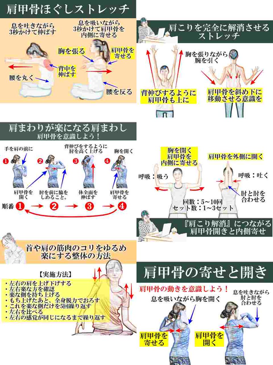 とぴー|生命力を最大化する人 tweet media