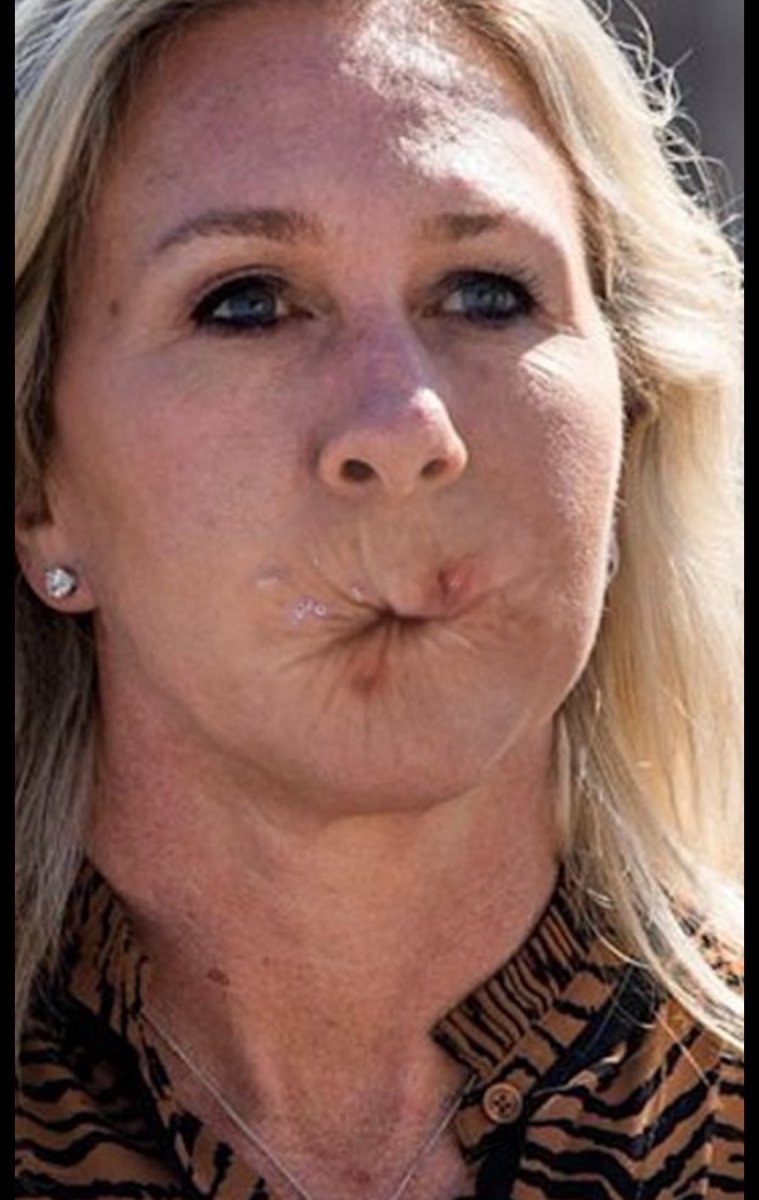 VEINS tweet media