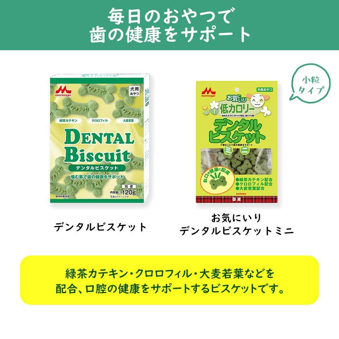 morinyu_pet's tweet image. 6月4日は「虫歯予防」の日🦷
おやつで歯の健康もサポートしましょう✨
#虫歯予防
#歯の健康
#犬