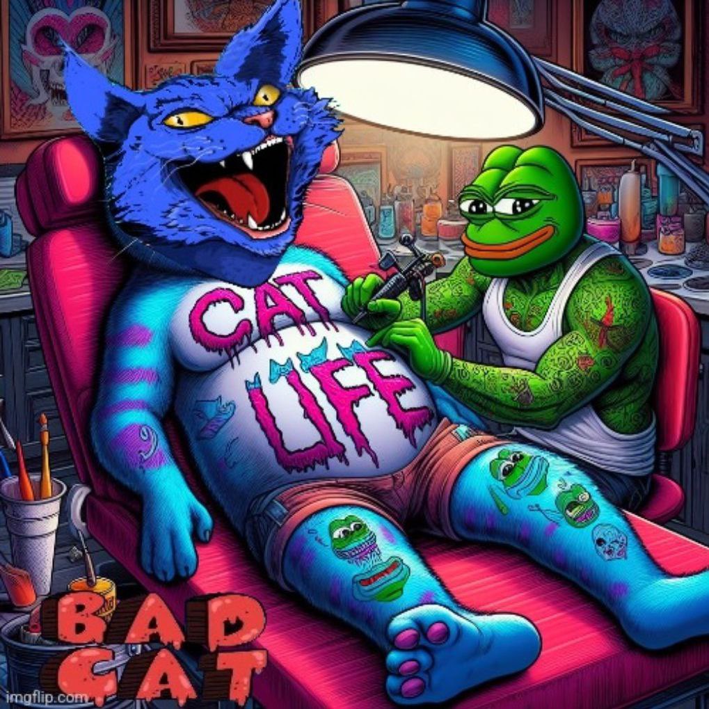 BARB_MONG's tweet photo. @cryptoballs5555 #Pepe got me covered and so does the Boys Club gang. $BadCat the baddest cat in town. @Badcat_base 

Meow for life https://t.co/wnh0iUTKK6