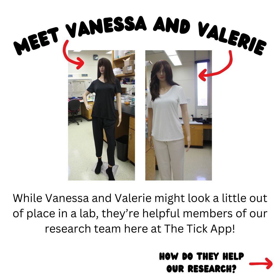 TickAppOnTour's tweet photo. Get to know some of our (less sentient) researchers here at #TheTickApp : Vanessa and Valerie. They're as stylish as they are smart!

#tickeducation #ticksafety #research #tickseason #ticks https://t.co/7o8yWRmsja
