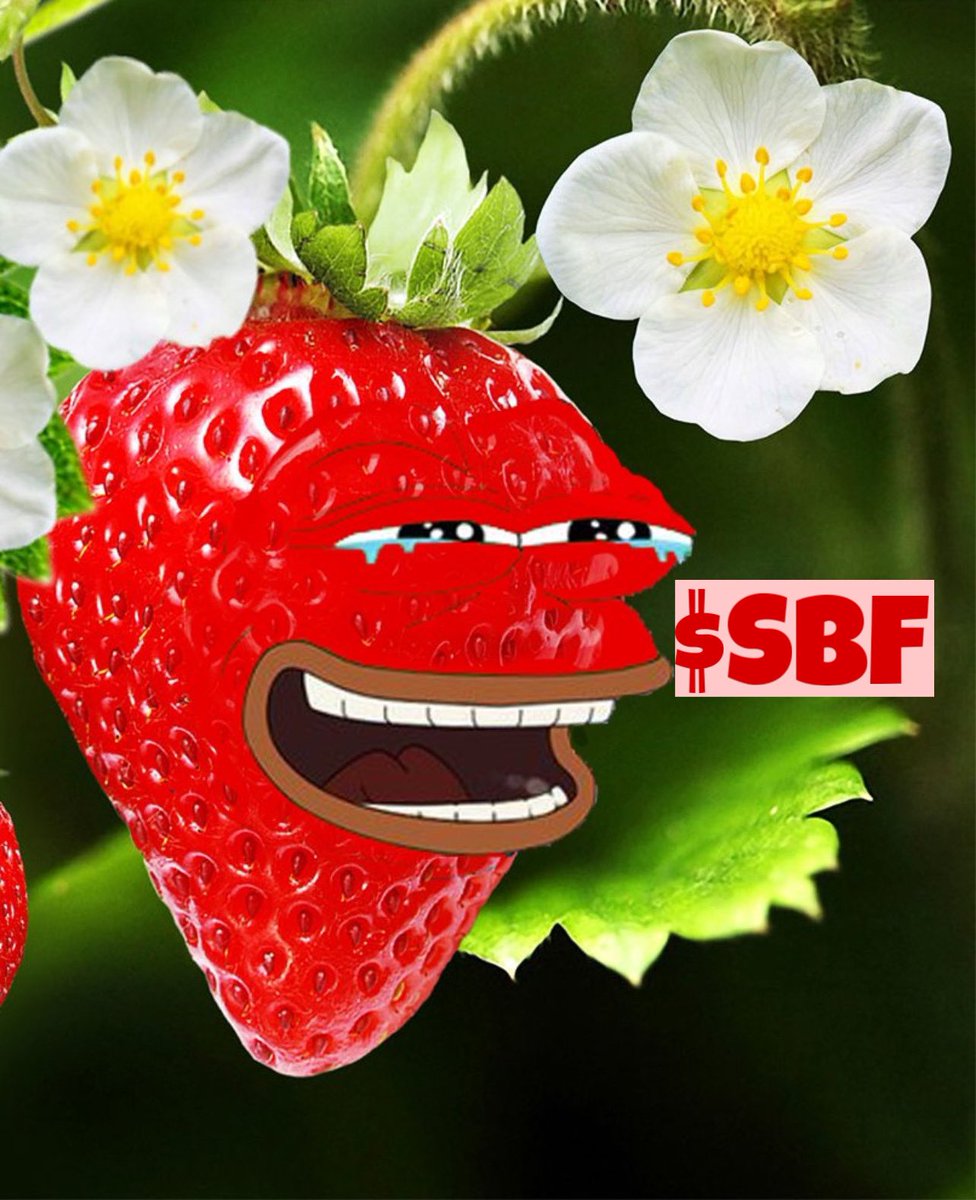 xLiCkxNxSpLiTx's tweet image. $SBF 🍓🐸

CA: 5FiQH4Bdhyc6xWeaMJXbzADhLpKuHWB7hKcGoqWmDsS5