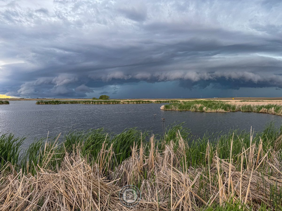 Josh Frye (Central Dakotas Severe WX Chasing) tweet media