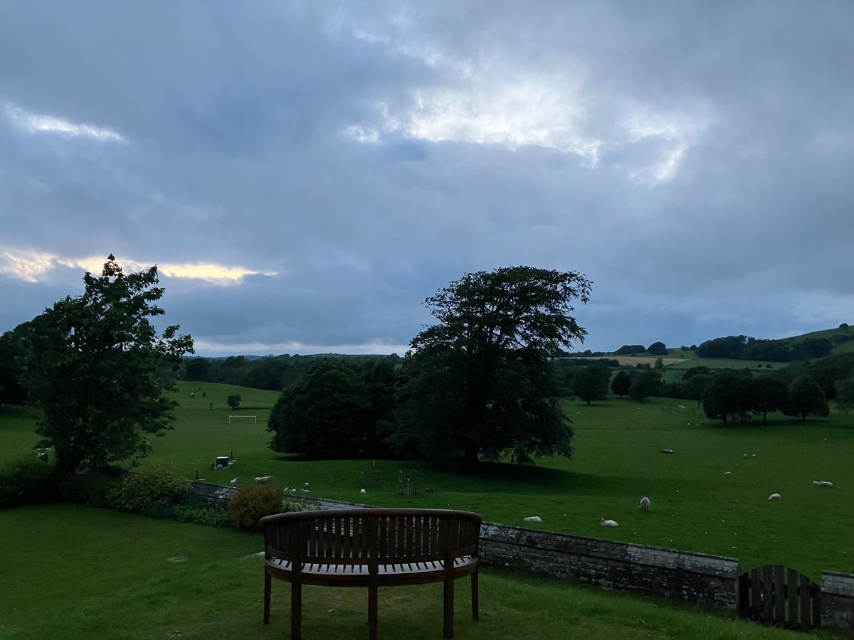 Jill Duff tweet media