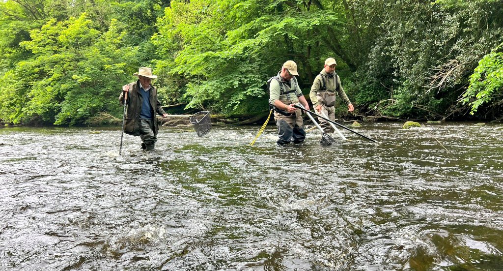 ProfJGrey's tweet photo. Spot check of a #Nidd club #fishery for #trout yoy &amp; parr following @WildTroutTrust #AdvisoryVisit revealed at least 9 eel to ~1m from this riffle
@YorkDalesRT @EnvAgencyYNE @nidderdalenl https://t.co/cvQ7HqQ83C