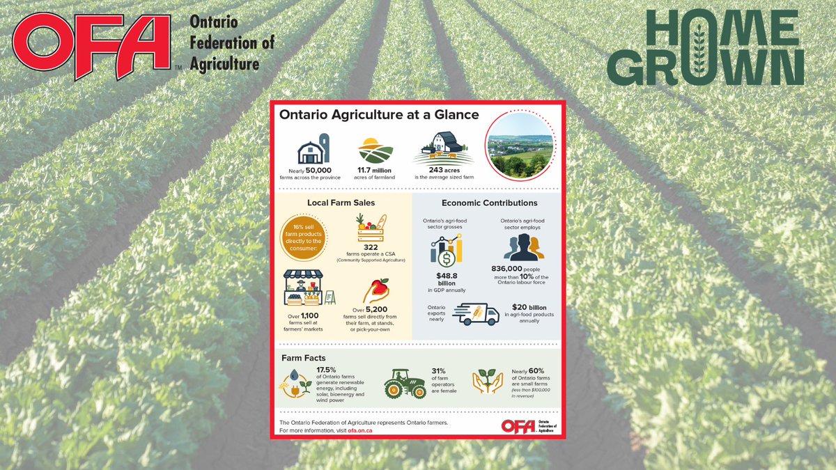 🚨Not only is #ontag delicious but it's also a major economic driver. From field to fork Ontario's agri-food sector grosses $48.8 billion in GDP annually &amp; farms 200+ commodities that feed the province, 🇨🇦, &amp; world. Celebrate Local Food Week June 3-9.
#thanksONfarmers #loveONfood
