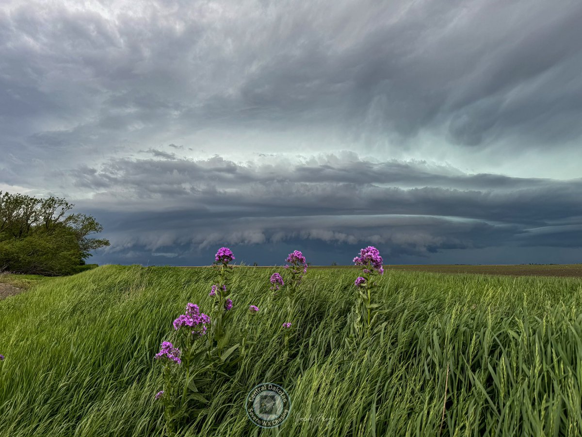 Josh Frye (Central Dakotas Severe WX Chasing) tweet media