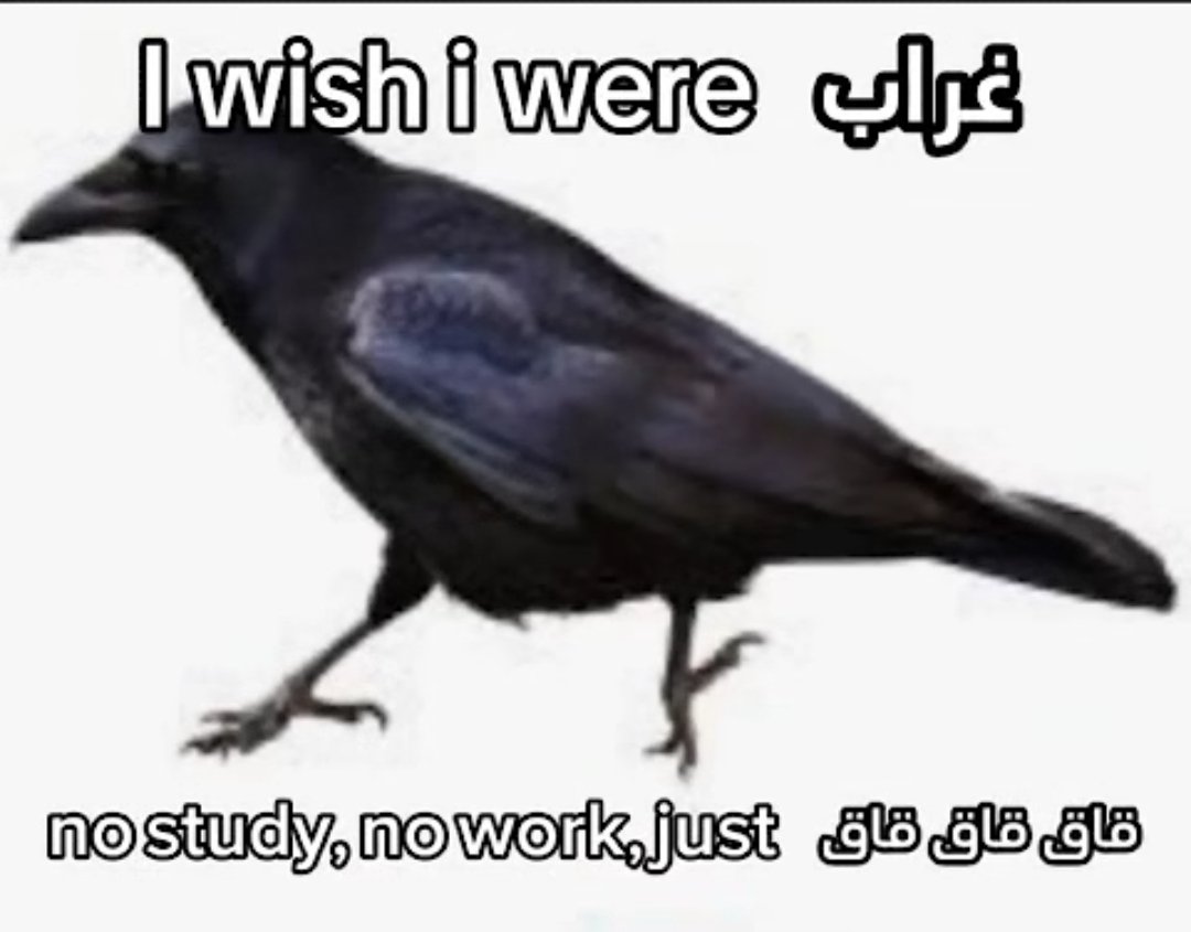 𝙝𝙖𝙢 ✰ tweet media