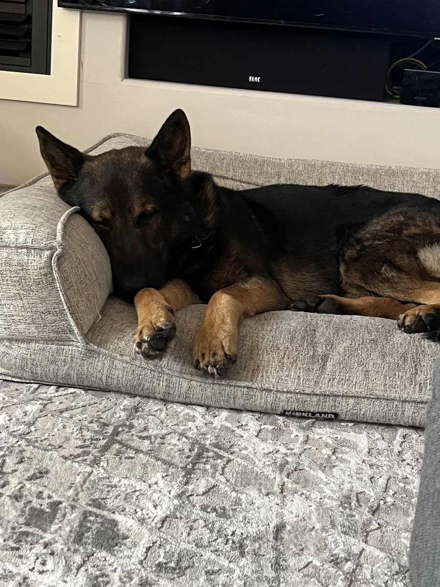 Had a couple birthdays the other day! Give PSD Gibbs and PSD Dak a little
Birthday love! #birthdayboys