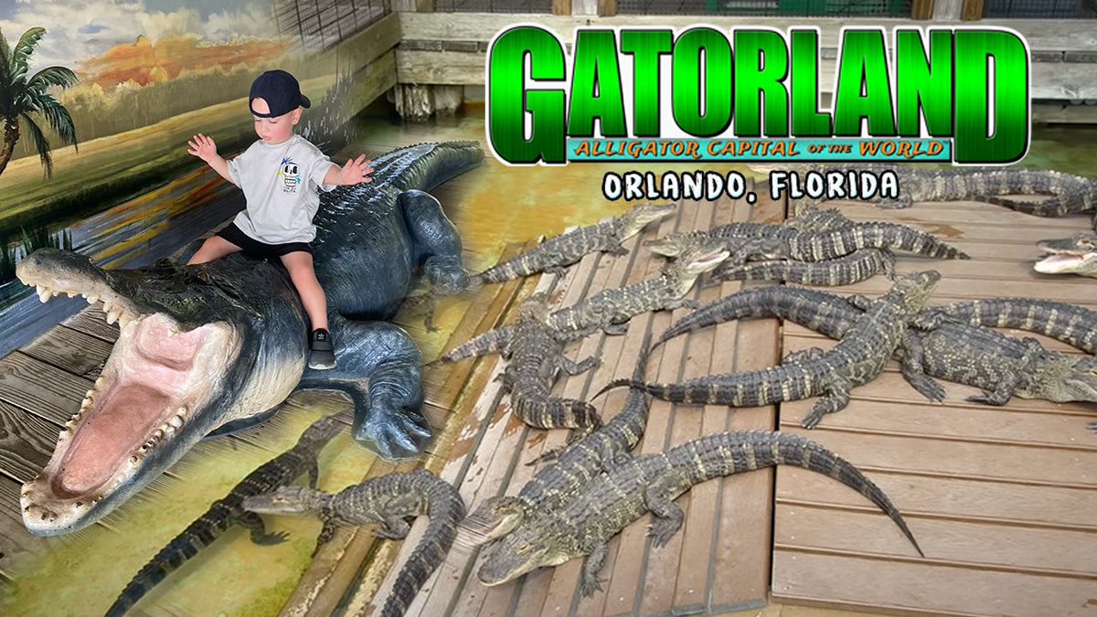 Gatorland 75th Anniversary Celebration - Old Florida Roadside Attractions
youtu.be/uQLj-NCpoCw