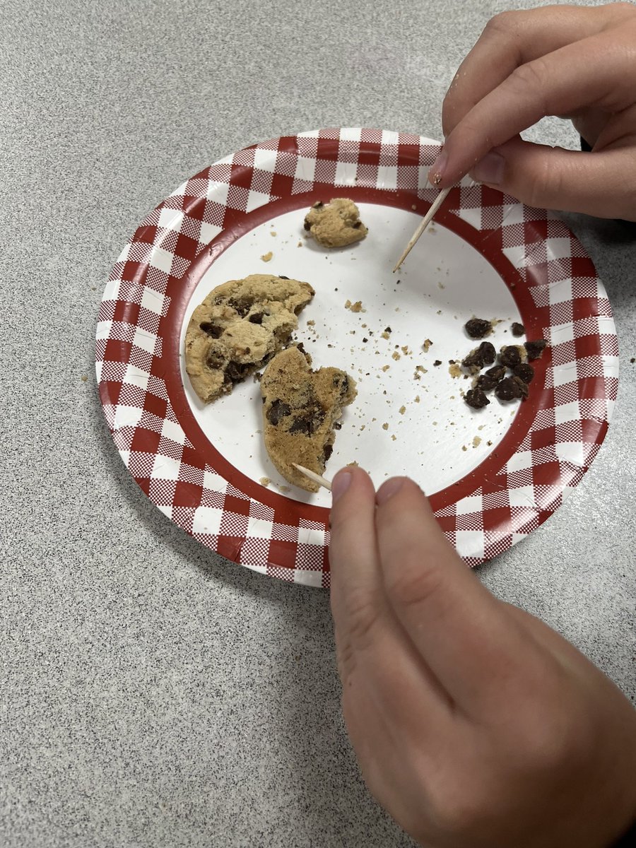 Removing our chocolate (mineral) from our cookie (rock). <a href="/cedarhollowps/">Cedar Hollow</a>