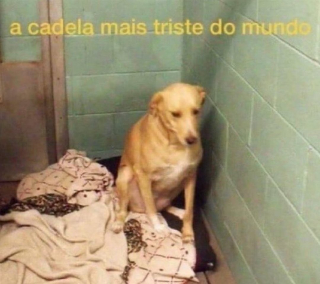 hoje faltou 98 reais no meu caixa