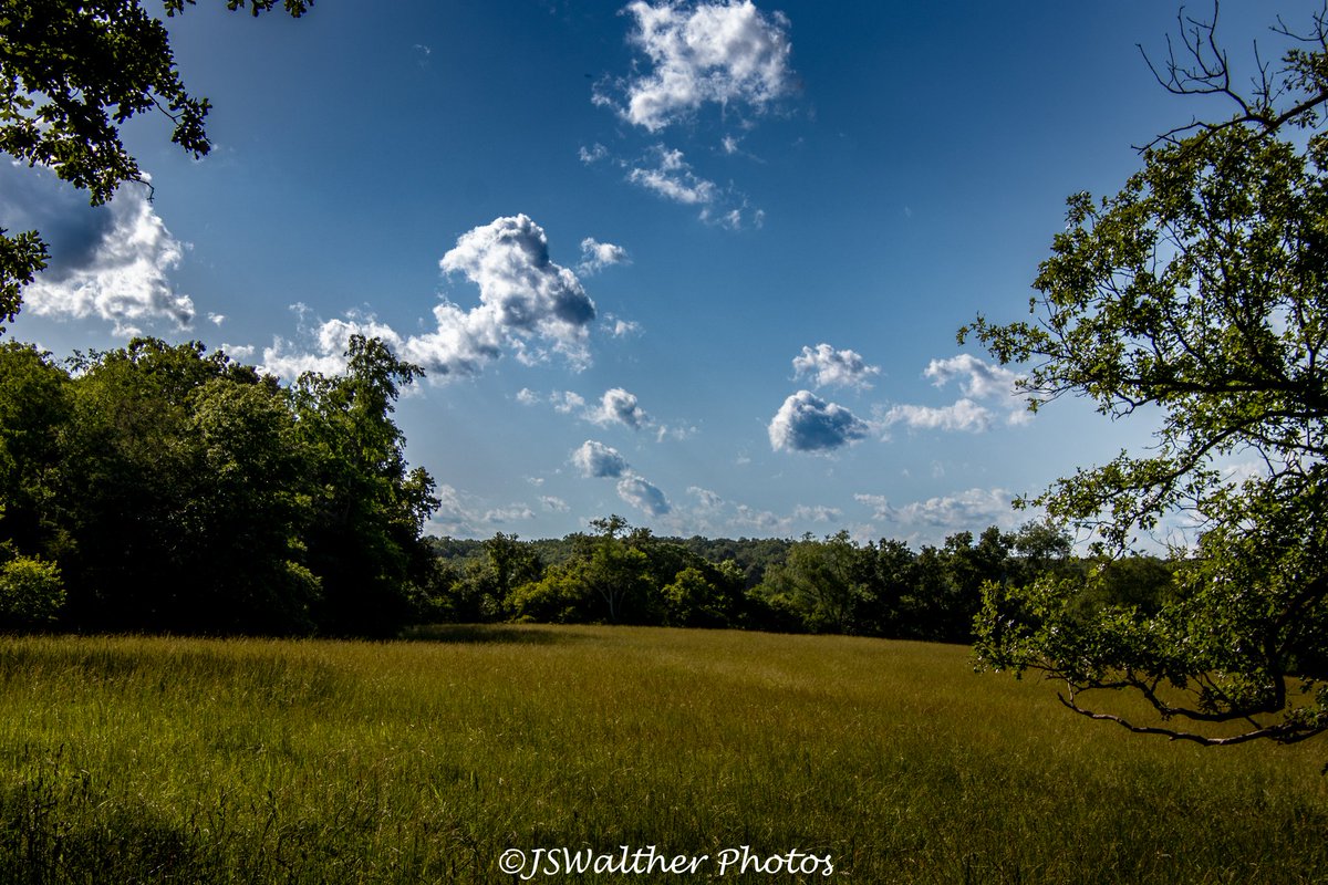 WaltherJs's tweet image. Beautiful sky and clouds yesterday. 
#clouds #cloud #stormcloud #sky #nature #whatgetsyououtdoors #pictureoftheday