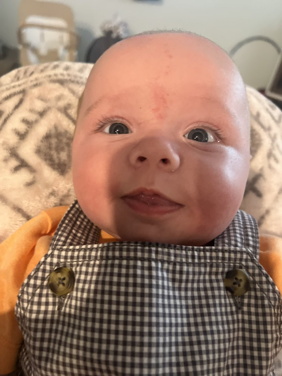 Just a little boy learning all about the orange and black! 🖤🧡