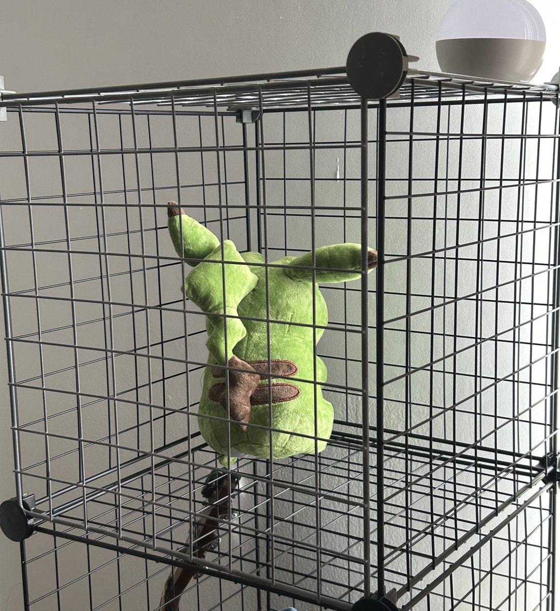 mugtuber's tweet photo. where it fucking belongs https://t.co/MLhuRR5fkF