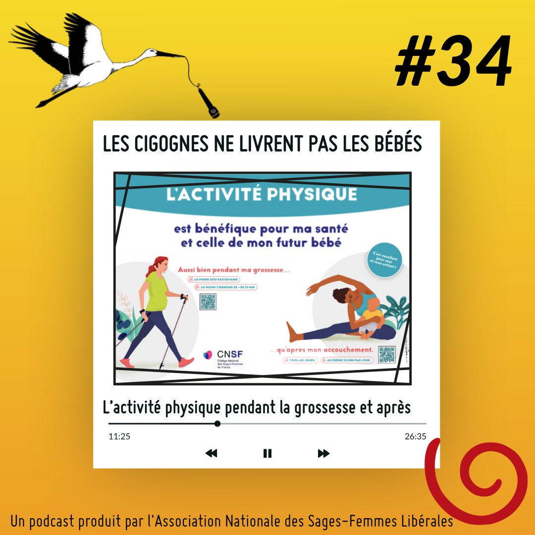 Tout savoir (ou presque) sur activité physique et maternité
podcastics.com/podcast/episod…