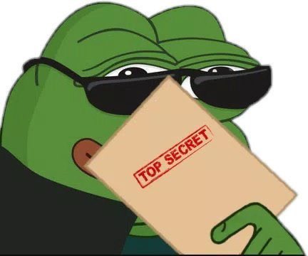 Wrapped Pepe tweet media