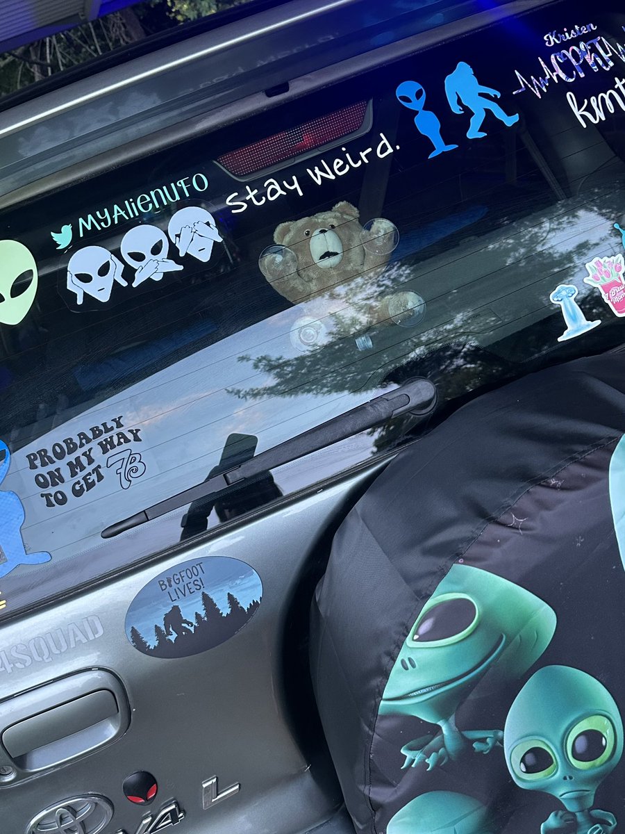 MyAlienUFO's tweet photo. I know I haven’t posted in a while. Aliens have abducted Ted along for the ride ! https://t.co/qTokE1gYNI