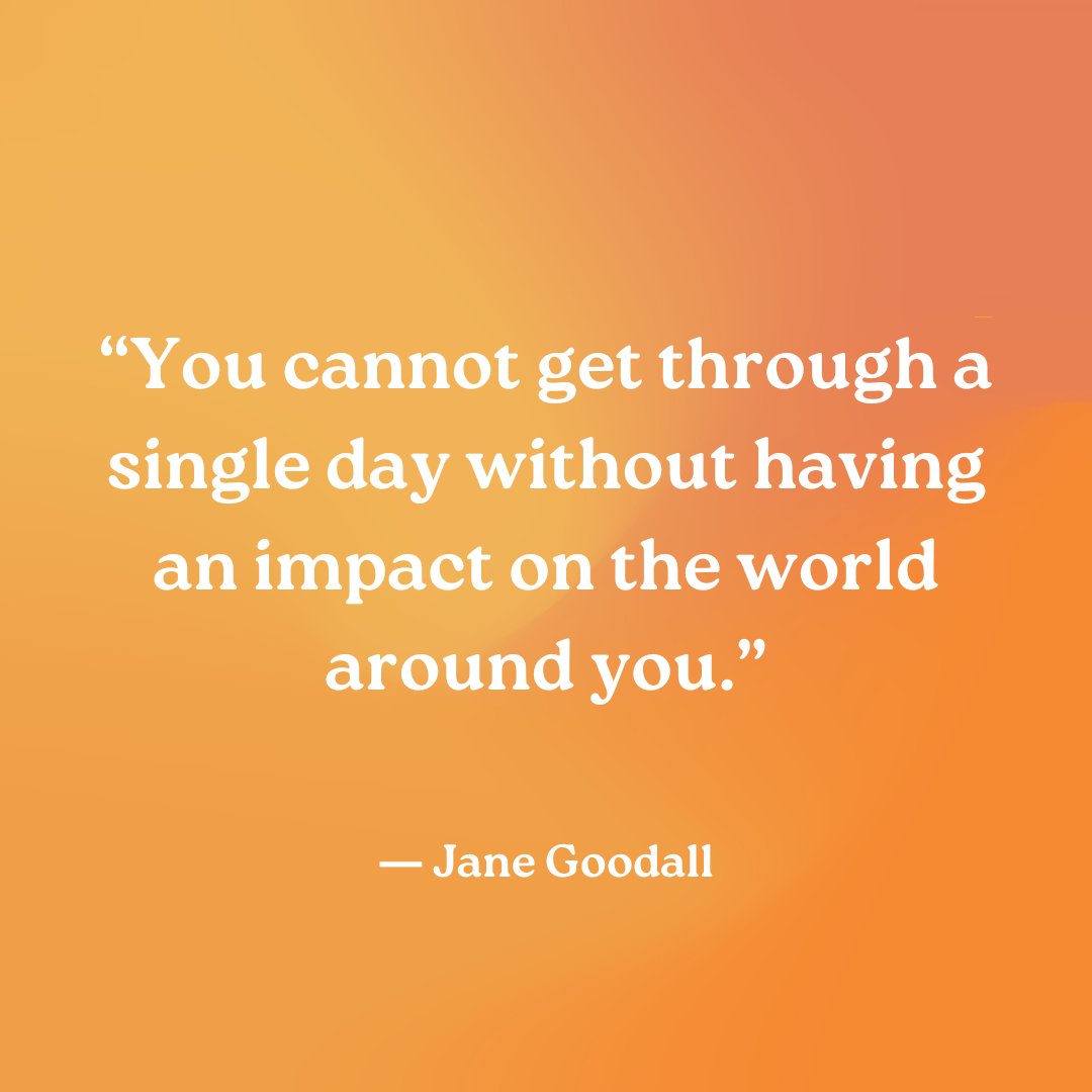 Ecocivilization Coalition tweet media