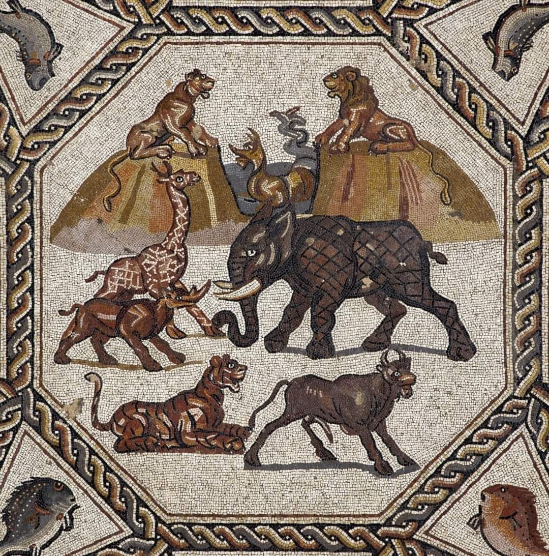 Ancient Romans were particularly fascinated by exotic animals they ...