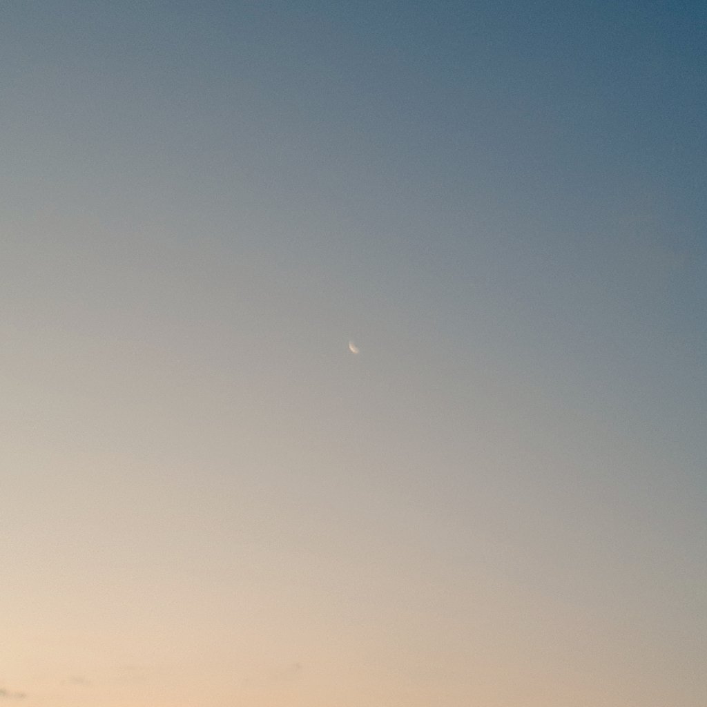 faflpou's tweet photo. 寝ぼけ眼で見上げた空を🌙 https://t.co/9JwTMFZjC7