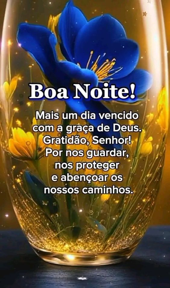 Boa noite, bom descanso e  bons sonhos Amigos! 🙏
Que Deus abençoe o seu lar e todos da sua família!