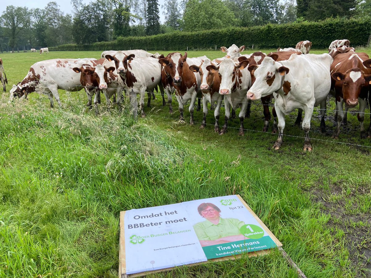 Spijtig dat deze dames niet mogen gaan stemmen!