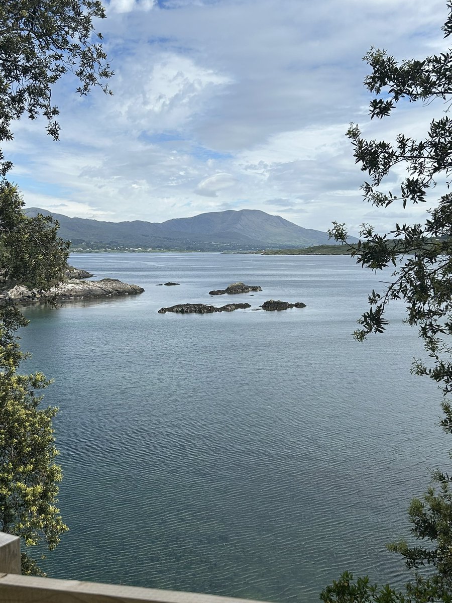 Mollkos's tweet photo. Day 144/1969
Lovely walks in Claonach and Dunboy 
#2000daysofwalking  #365crew https://t.co/mF9aGXOJvU