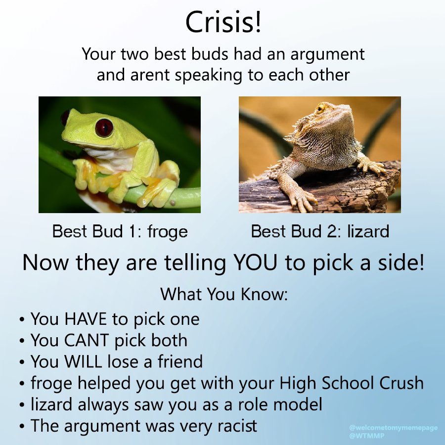 tamstr8's tweet image. 