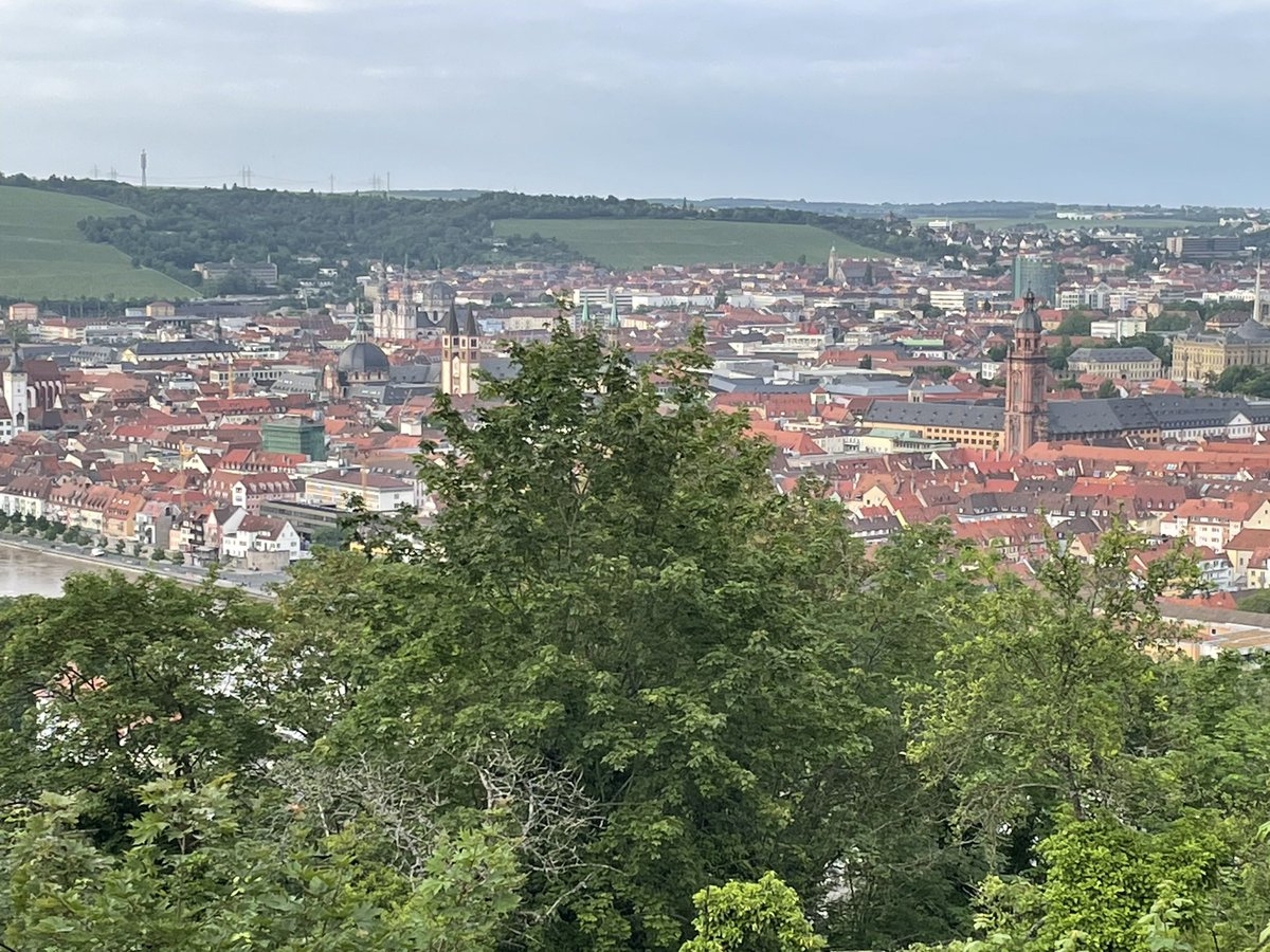 Jörg Stülke tweet media