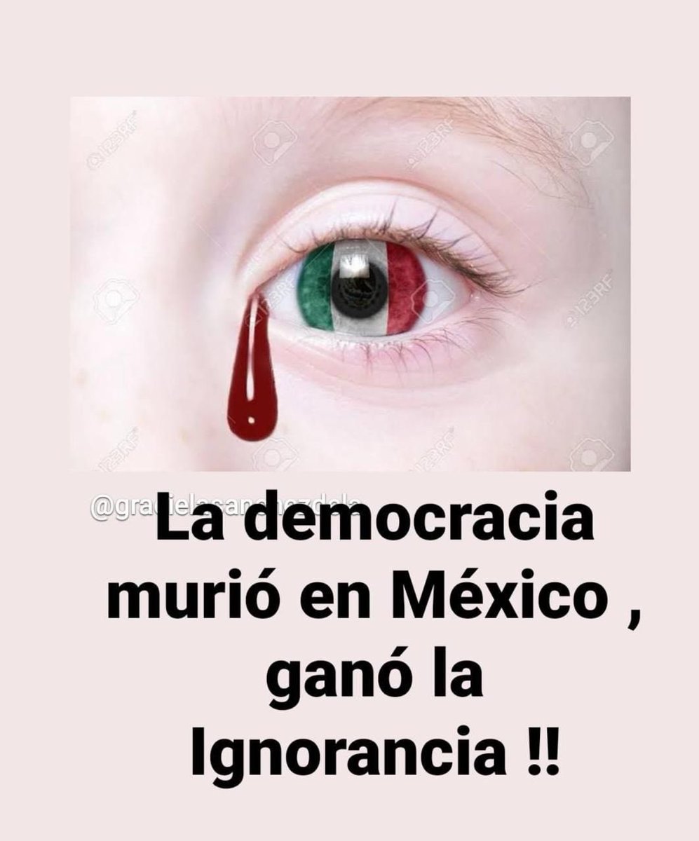 Laura Zapata tweet media