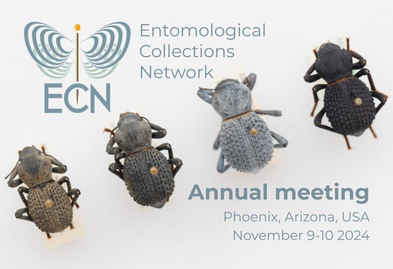 EntCollNet's tweet photo. We are now CALLING FOR TALKS &amp; symposia for the our next annual meeting, taking place in Phoenix, AZ (&amp; online) on November 9–10.

We have one symposium slot remaining. Please contact our program co-chairs at program@ecnweb.org to submit a proposal. #ECN2024 [1/2] https://t.co/GpLVGALnQE