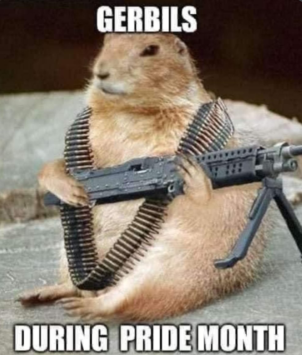 I have been notified my reach has been limited due to posting offensive things.