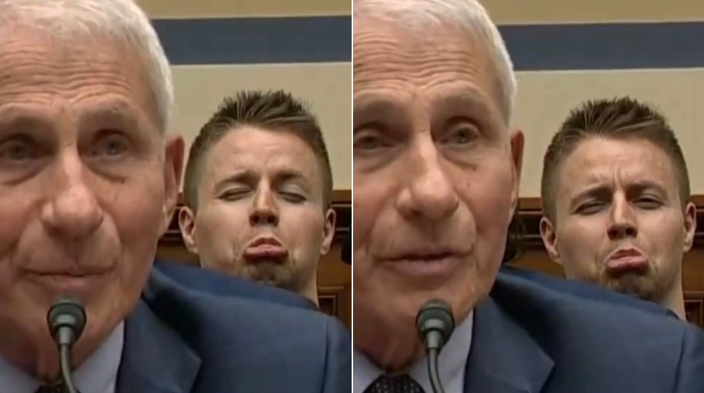 Brandon Fellows, a January 6er, stole the show during Fauci’s House Subcommittee hearing as he trolled Fauci for the cameras, making crybaby faces. 🤣🤣