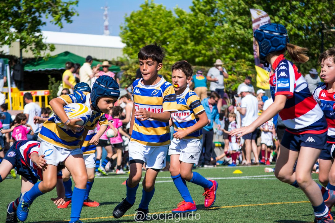 Federación de Rugby de Madrid tweet media