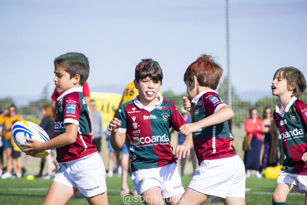 Federación de Rugby de Madrid tweet media