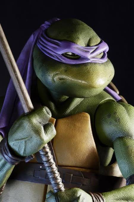 Marília hoje tava inspirada no Donatello das Tartarugas Ninjas! 🐢🟣😂