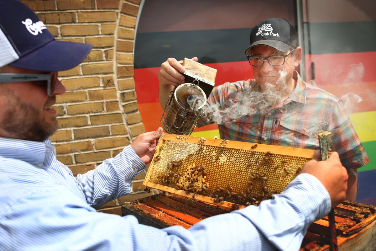 Did you know the Village maintains honeybee hives at Village Hall and the Public Works Center to support local honeybee populations? The hives were established to help promote a healthy environment for bees that can benefit #OakPark gardeners: oak-park.us/honeybees 🐝