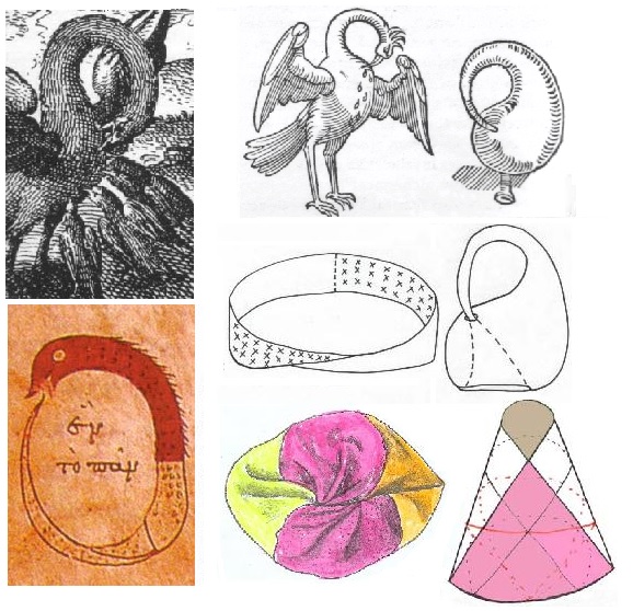 mcp358's tweet image. #Esopolitics
#Hypersphere
#Moebius8Kleinbottle