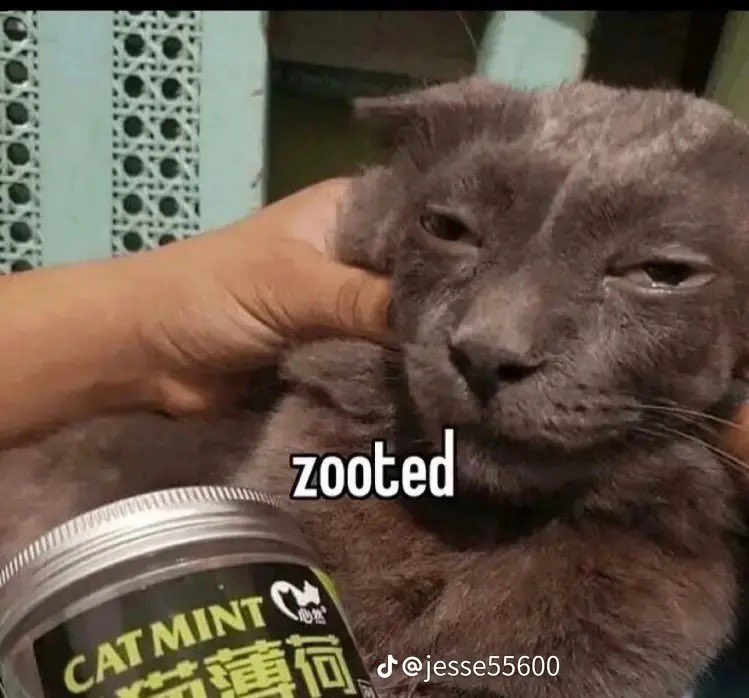 me tn