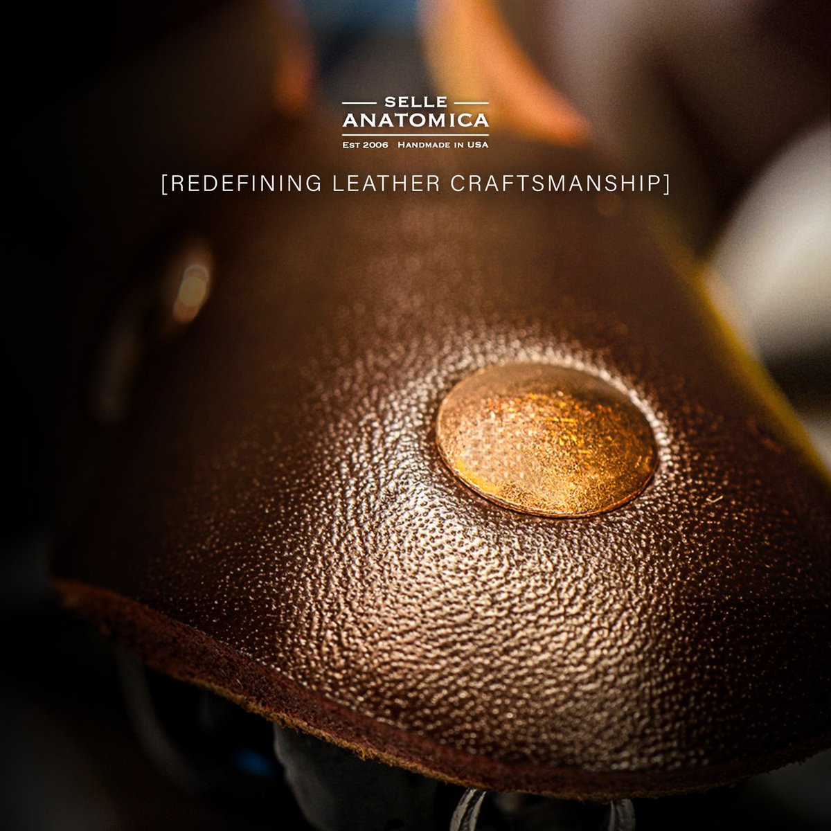 Selle Anatomica tweet media