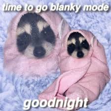 raccoon aesthetic. (@raccoonesthetic) on Twitter photo 