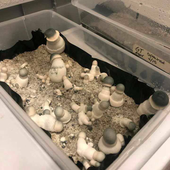 stackpacks01's tweet image. 