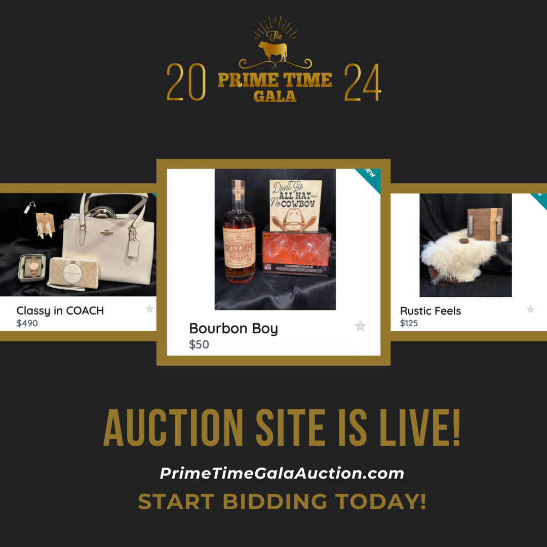 The Prime Time Gala auction site is NOW OPEN and ready for your bids!

📱Visit PrimeTimeGalaAuction.com to start bidding on 100+ incredible items and gift packages while supporting a great cause! 🙌

#PrimeTimeGala #Auction #BidNow #SupportACause #WinBig