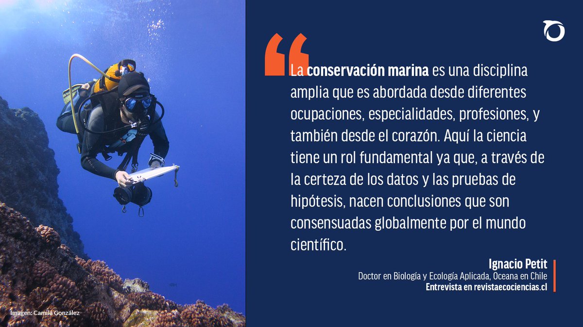 #MesDelMar | "Relevando la importancia de la ciencia en la conservación marina"

🔹 Entrevista a Ignacio Petit,  Biólogo Marino y Doctor en Biología y Ecología Aplicada, integrante del equipo de Oceana en Chile.

📰 <a href="/R_Ecociencias/">Revista Ecociencias</a>: revistaecociencias.cl/2024/05/31/mes…