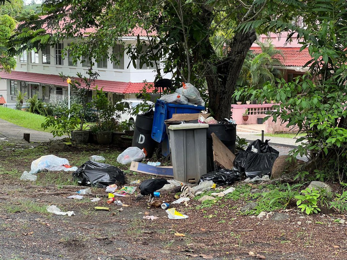 AlvaroAlvaradoC's tweet photo. Vecinos de Balboa, calles Tabernilla y San Pablo, le piden a la @AAUD_Panama que por favor les recojan la Basura.
Hoy pasó el camión al medio día y no recogió basura en ninguna casa. Pagan la tasa de aseo y la Autoridad no brinda el servicio. Será que los funcionarios de este gobierno ya se fueron para sus casas?.