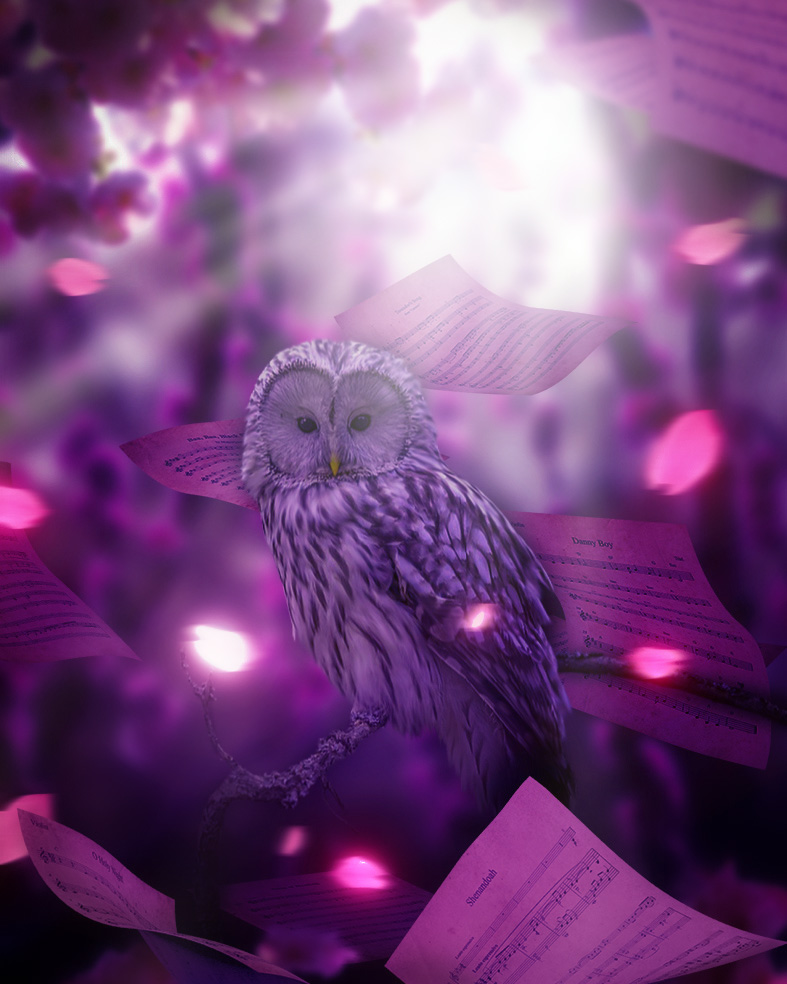 🌿🦉NEW💫 on <a href="/vitruveochain/">Vitruveo Blockchain</a> 

"SERENITY"

In the midst of chaos, take a moment to calm and feel the serenity... 😌