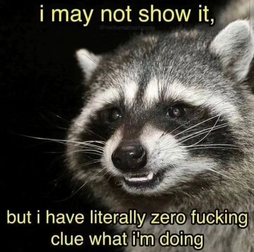 raccoonesthetic's tweet image. 